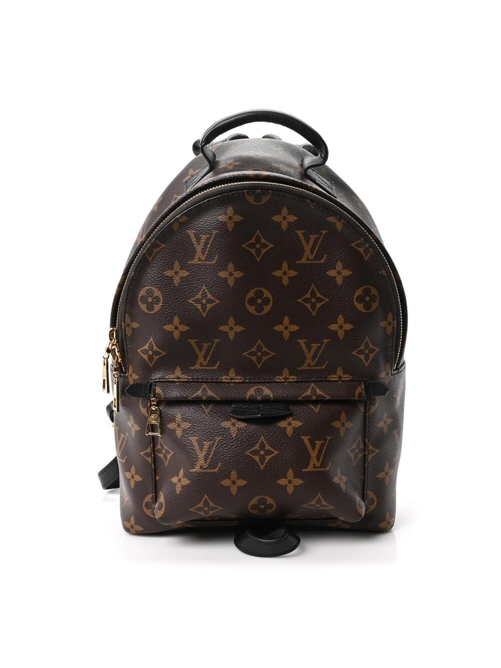 Louis Vuitton Palm Springs Backpack Pm #368171L11B